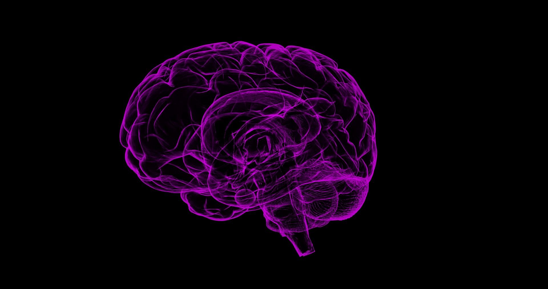 Understanding Your Brain: What Happens in Our Brains When We Learn?