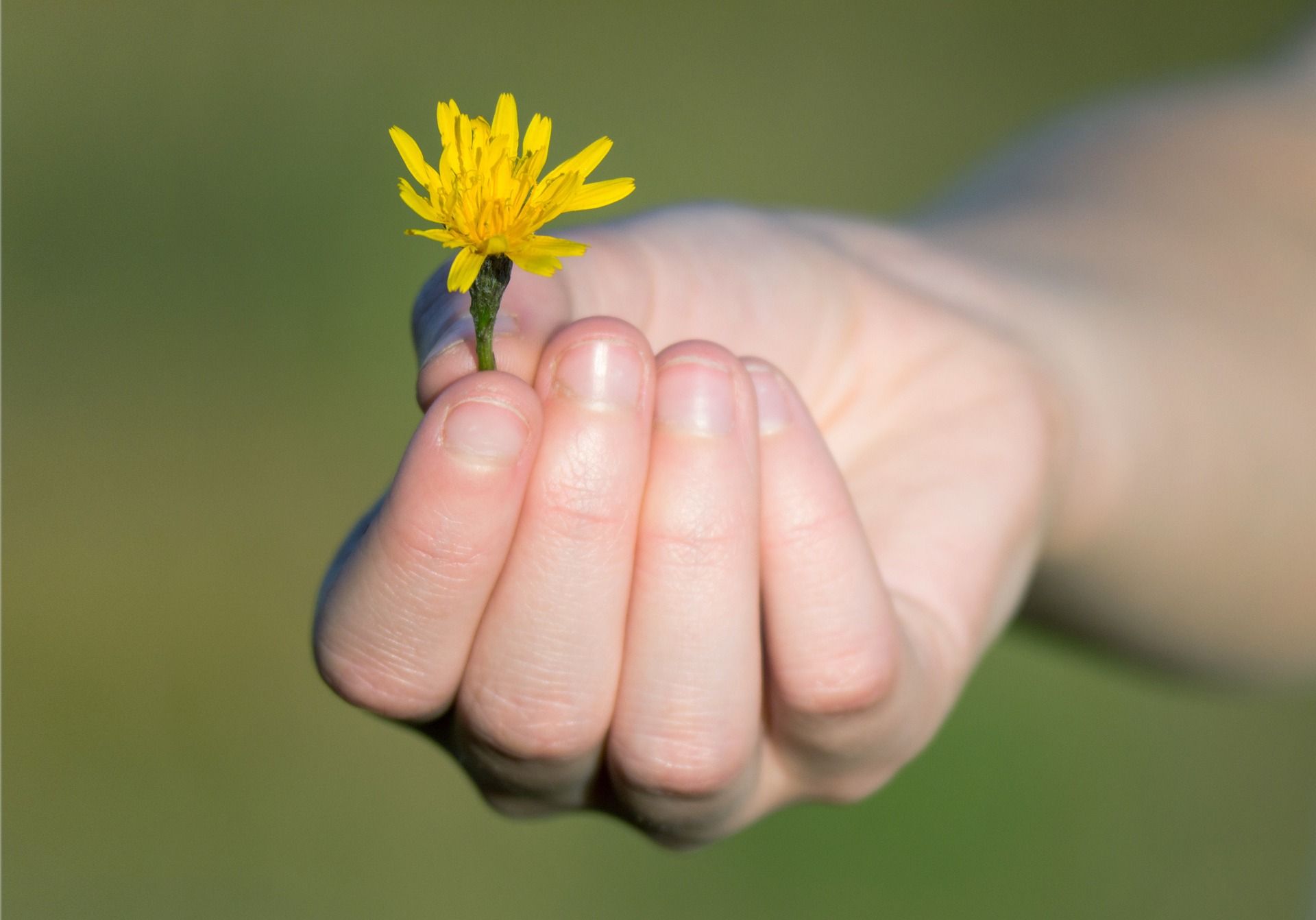 The Power of Gratitude